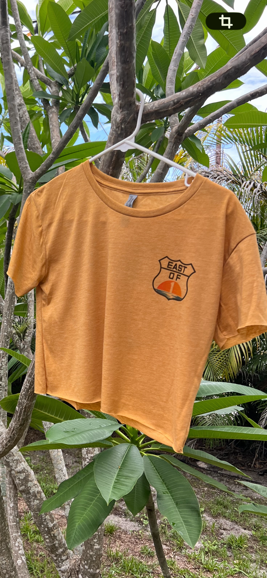 Sunrise Crop Top