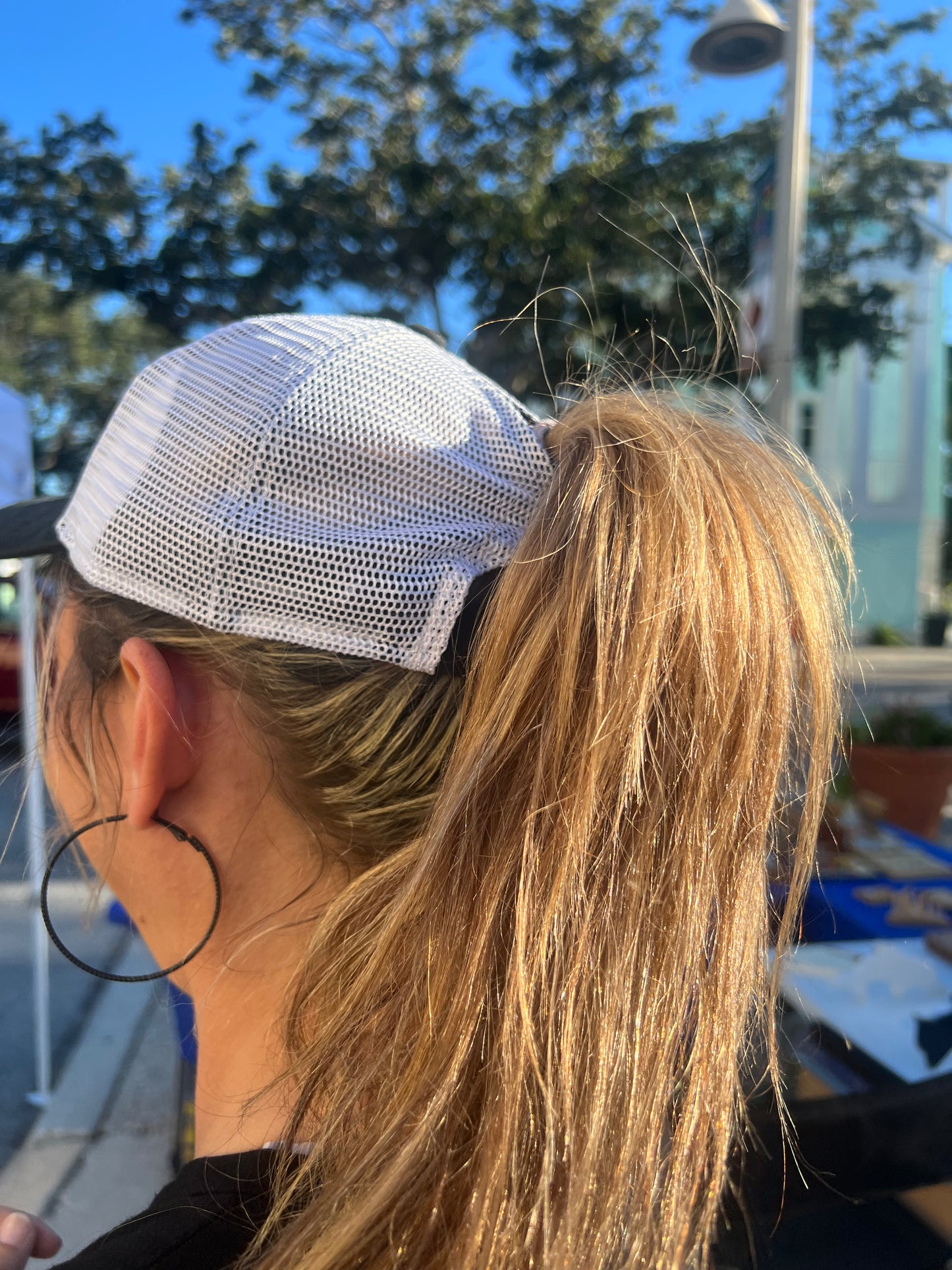 Ponytail Back