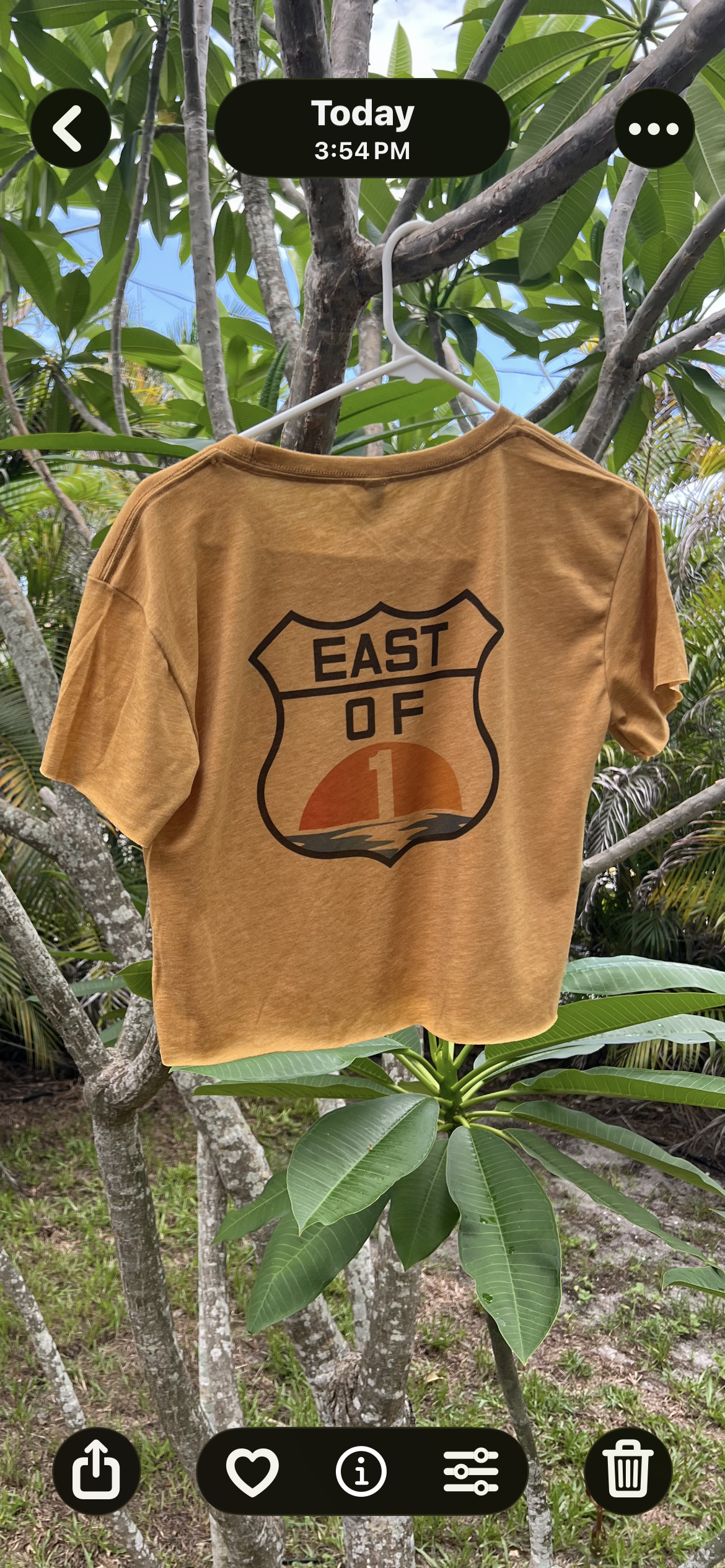Sunrise Crop Top