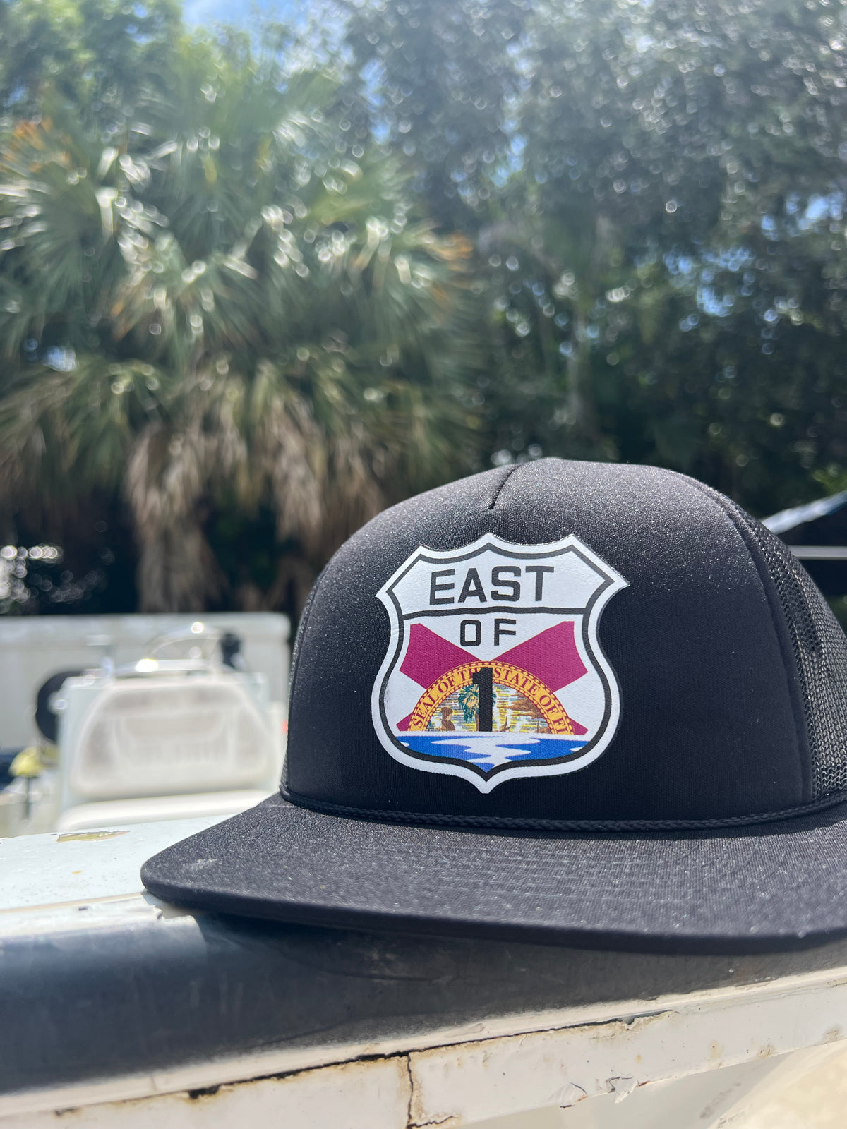 Florida Rising